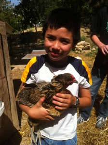 Exley Brother holding a Hen