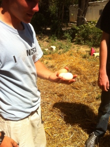Exley Brother holding eggs